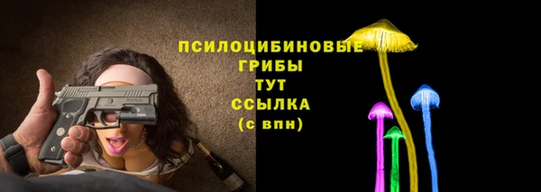 spice Алексеевка
