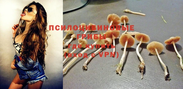 бутират Алексин