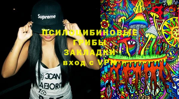 ПСИЛОЦИБИНОВЫЕ ГРИБЫ Новодвинск