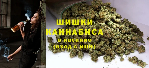 дмт Алзамай