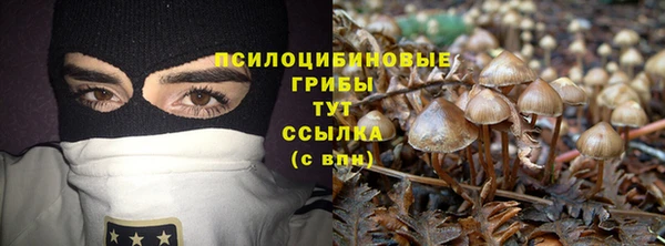 ПСИЛОЦИБИНОВЫЕ ГРИБЫ Новодвинск