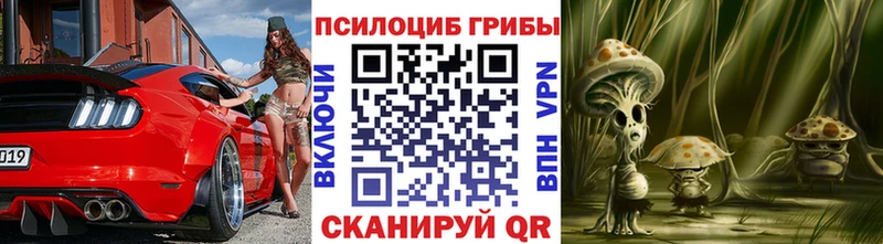 Псилоцибиновые грибы мицелий  купить наркотики цена  darknet какой сайт  Арамиль 